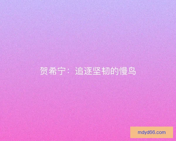 贺希宁：追逐坚韧的慢鸟