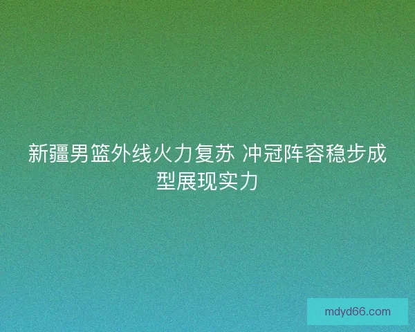 新疆男篮外线火力复苏 冲冠阵容稳步成型展现实力